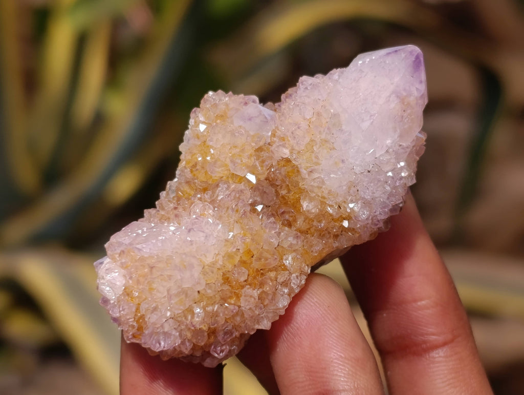 Natural Amethyst Spirit Quartz Crystals x 20 From Boekenhouthoek, South Africa - Toprock Gemstones and Minerals 