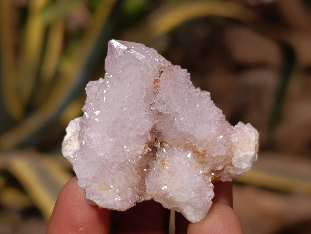 Natural Amethyst Spirit Quartz Crystals x 20 From Boekenhouthoek, South Africa - Toprock Gemstones and Minerals 