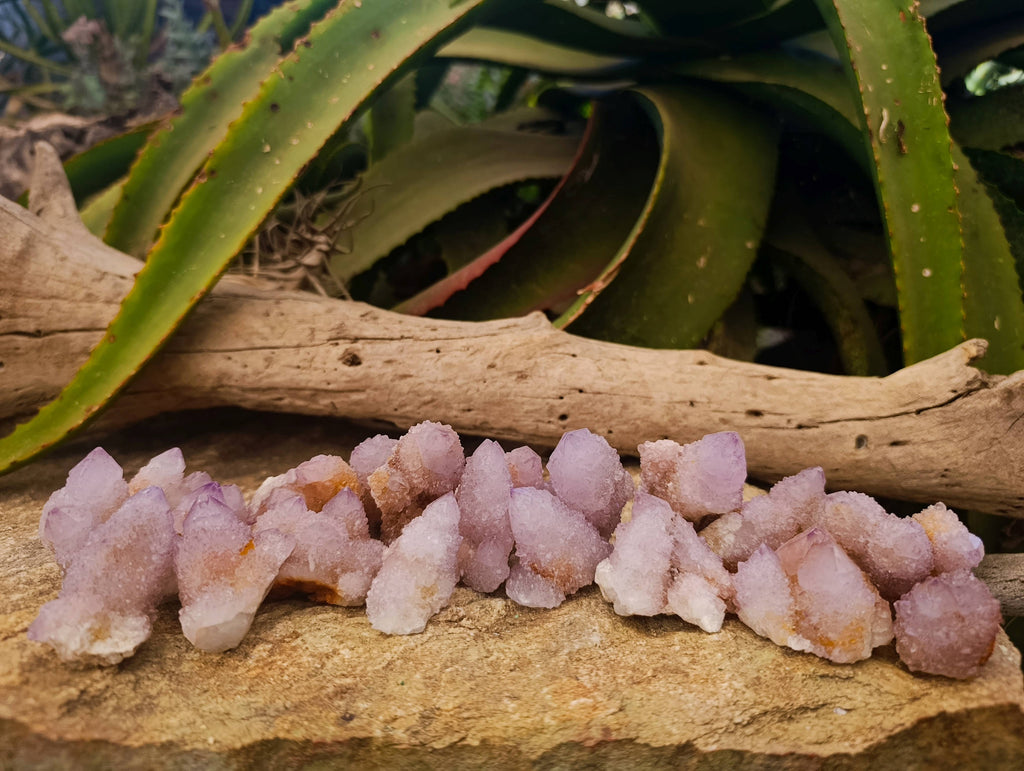 Natural Amethyst Spirit Quartz Crystals x 20 From Boekenhouthoek, South Africa - Toprock Gemstones and Minerals 