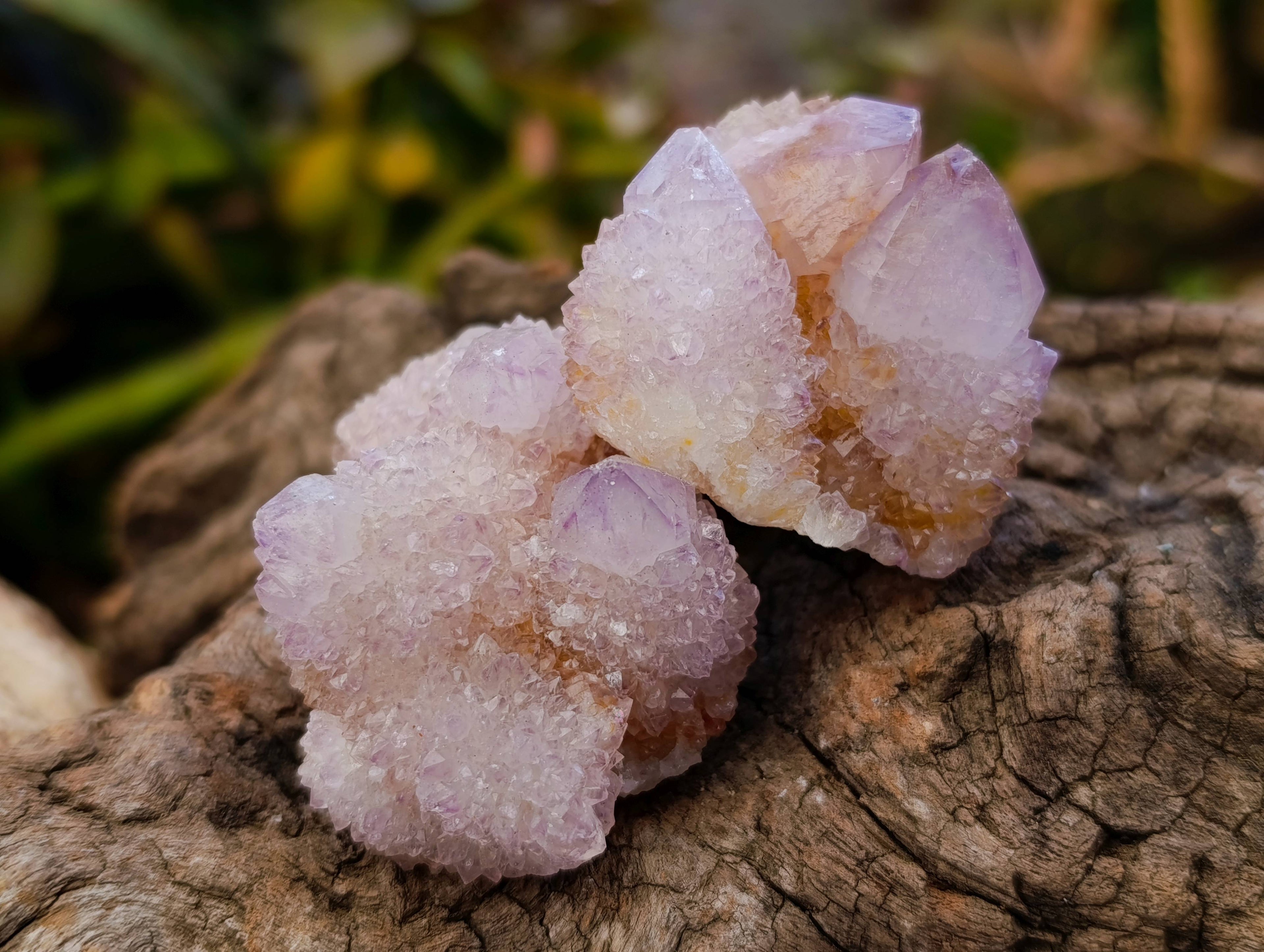 Natural Amethyst Spirit Quartz Crystals x 20 From Boekenhouthoek, South Africa - Toprock Gemstones and Minerals 