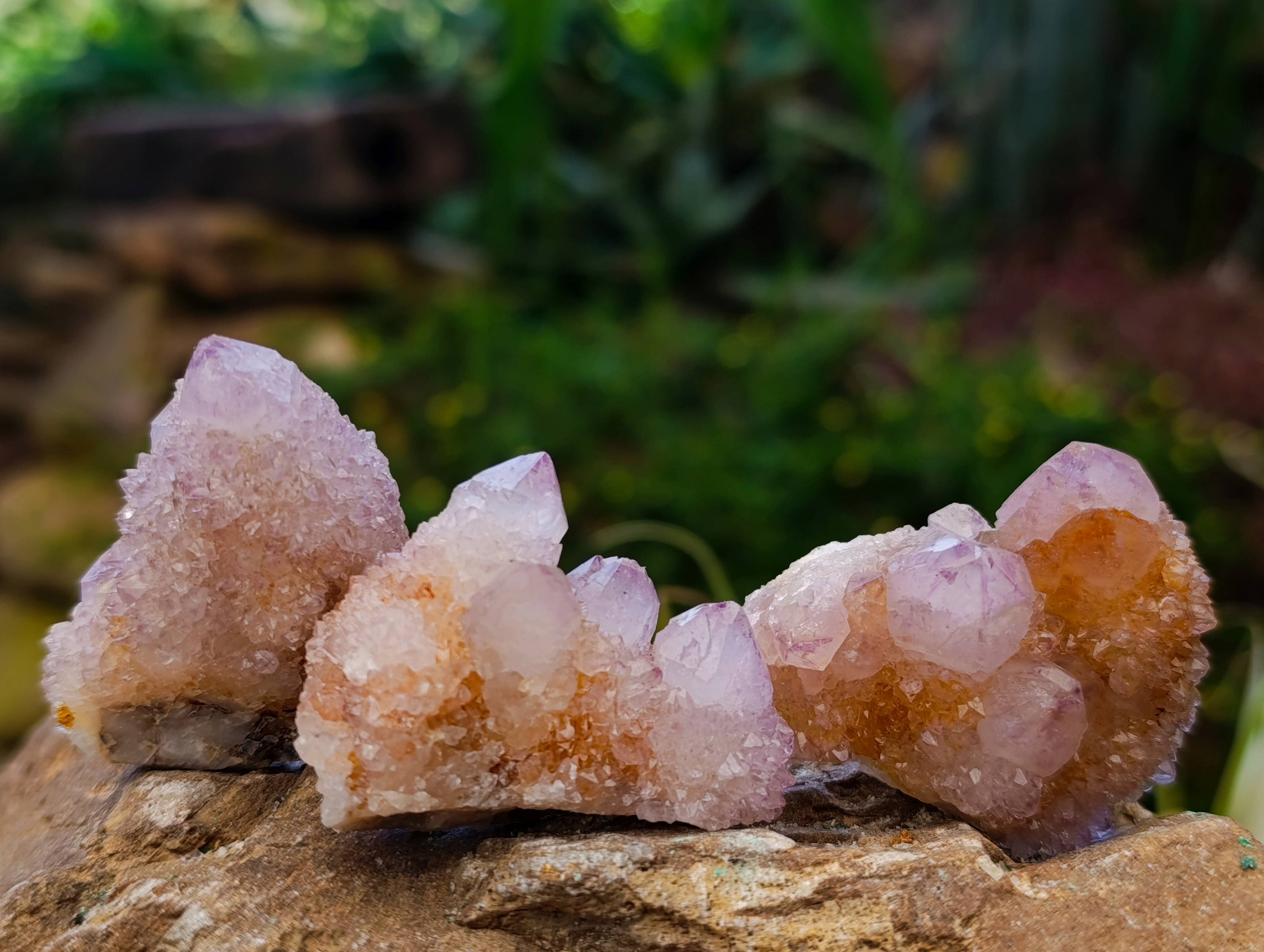 Natural Amethyst Spirit Quartz Crystals x 20 From Boekenhouthoek, South Africa - Toprock Gemstones and Minerals 