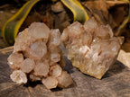 Natural Smokey Phantom Quartz Clusters x 2 From Luena, Congo - Toprock Gemstones and Minerals 
