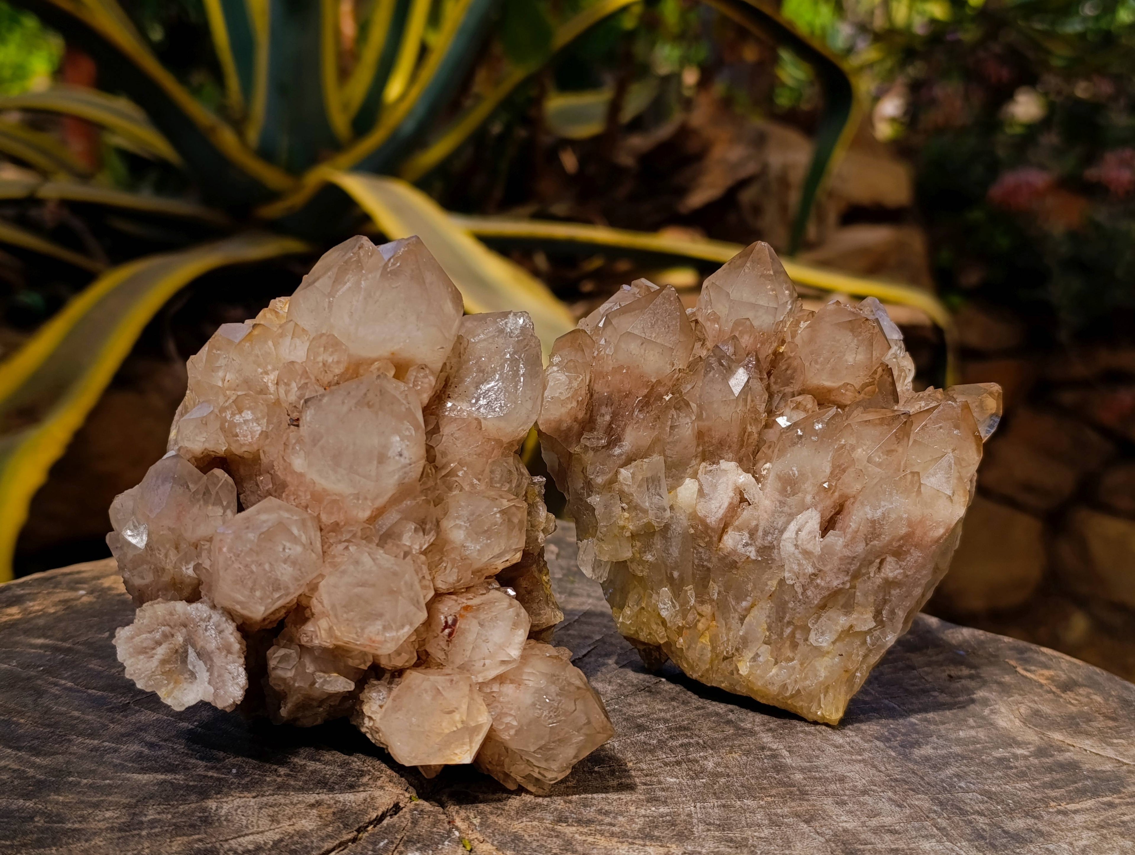 Natural Smokey Phantom Quartz Clusters x 2 From Luena, Congo - Toprock Gemstones and Minerals 