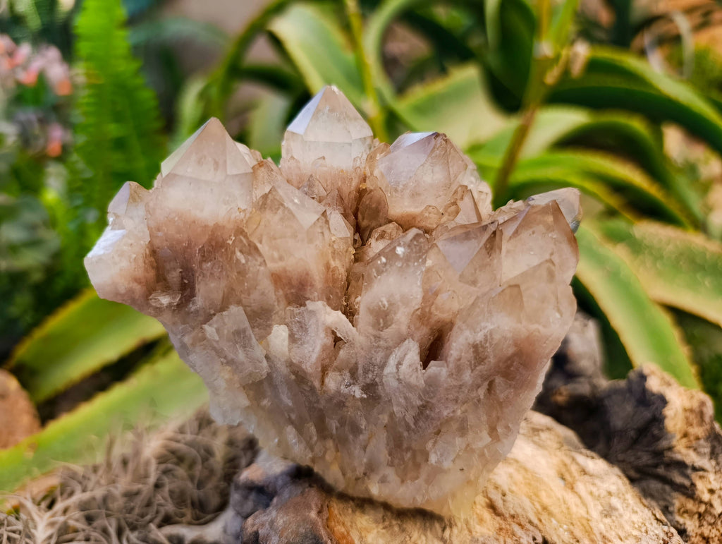 Natural Smokey Phantom Quartz Clusters x 2 From Luena, Congo - Toprock Gemstones and Minerals 