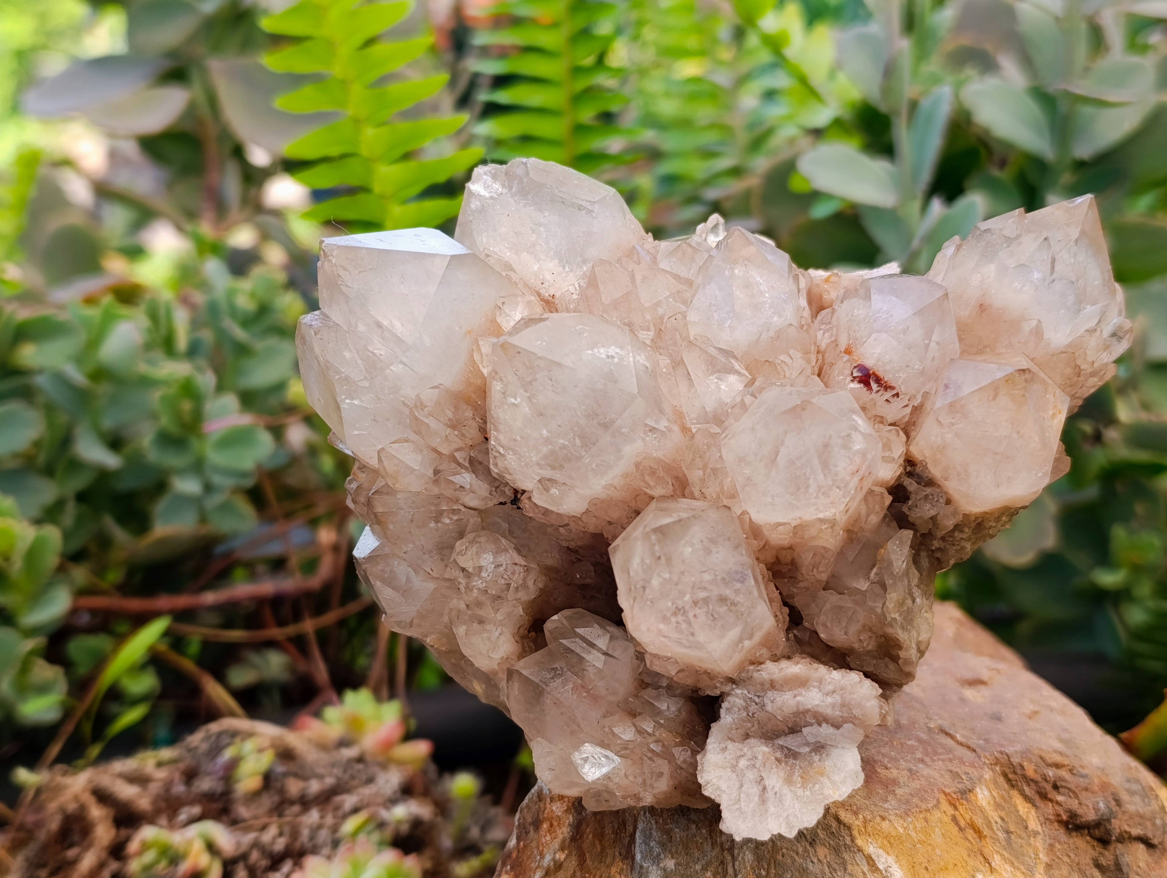 Natural Smokey Phantom Quartz Clusters x 2 From Luena, Congo - Toprock Gemstones and Minerals 
