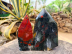 Polished Bloodstone Points x 2 From Swaziland - Toprock Gemstones and Minerals 