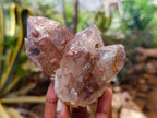 Natural Red Hematoid Quartz Clusters x 6 From Karoi, Zimbabwe - Toprock Gemstones and Minerals 