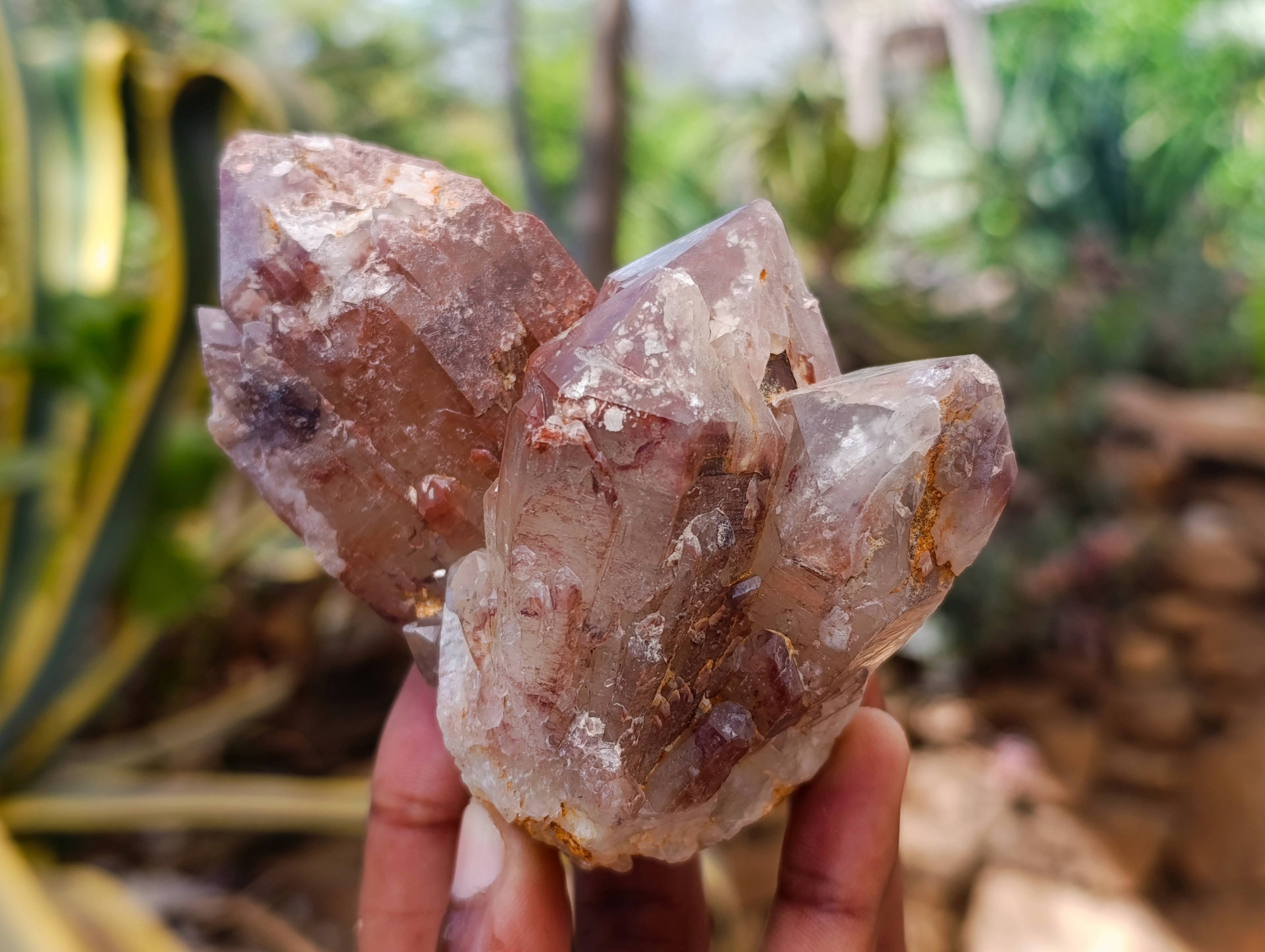 Natural Red Hematoid Quartz Clusters x 6 From Karoi, Zimbabwe - Toprock Gemstones and Minerals 