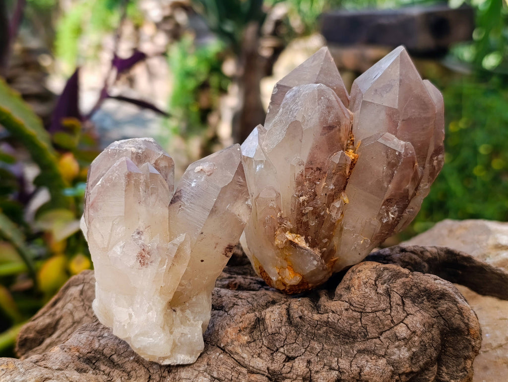 Natural Red Hematoid Quartz Clusters x 6 From Karoi, Zimbabwe - Toprock Gemstones and Minerals 