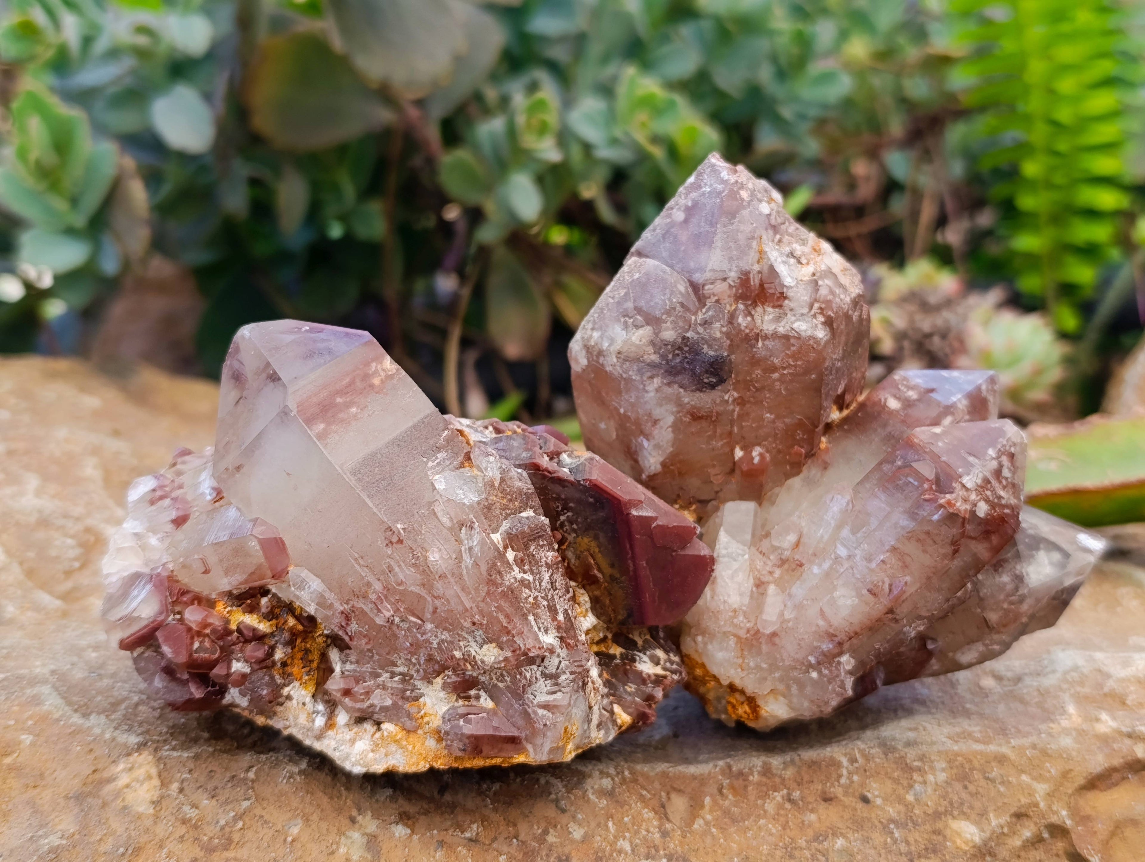 Natural Red Hematoid Quartz Clusters x 6 From Karoi, Zimbabwe - Toprock Gemstones and Minerals 