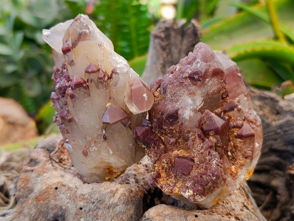 Natural Red Hematoid Quartz Clusters x 6 From Karoi, Zimbabwe - Toprock Gemstones and Minerals 