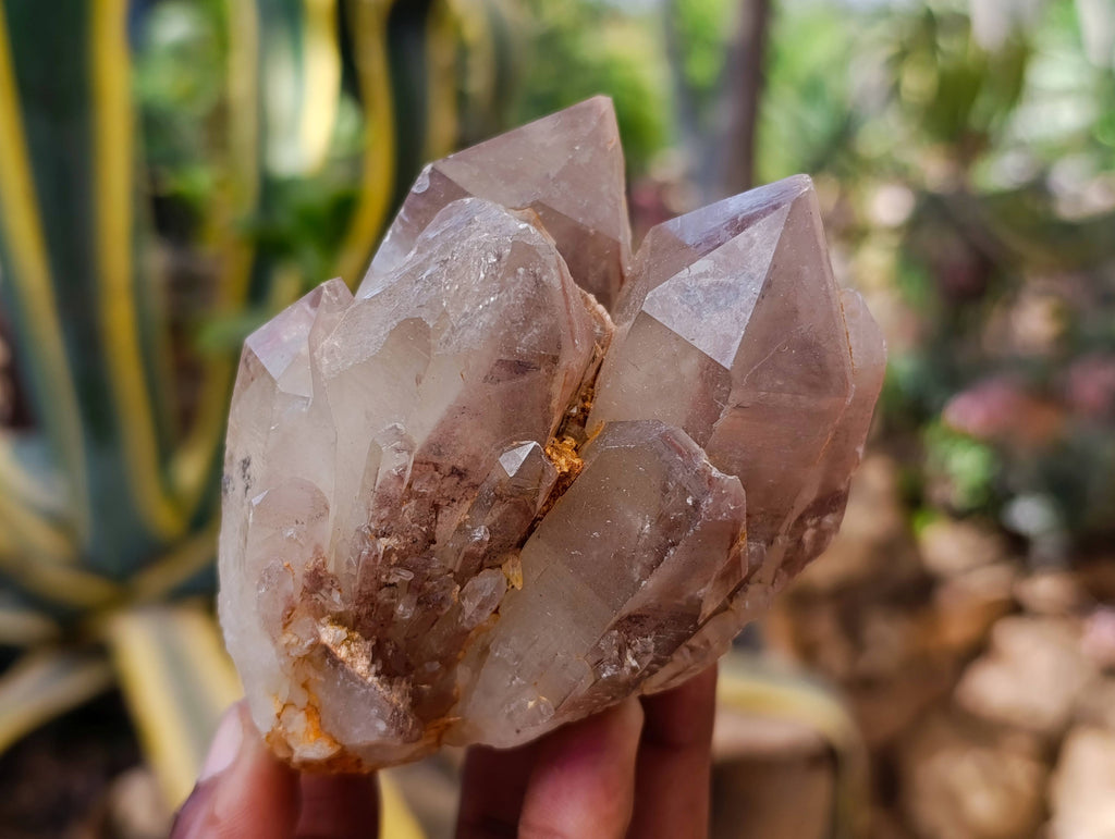 Natural Red Hematoid Quartz Clusters x 6 From Karoi, Zimbabwe - Toprock Gemstones and Minerals 