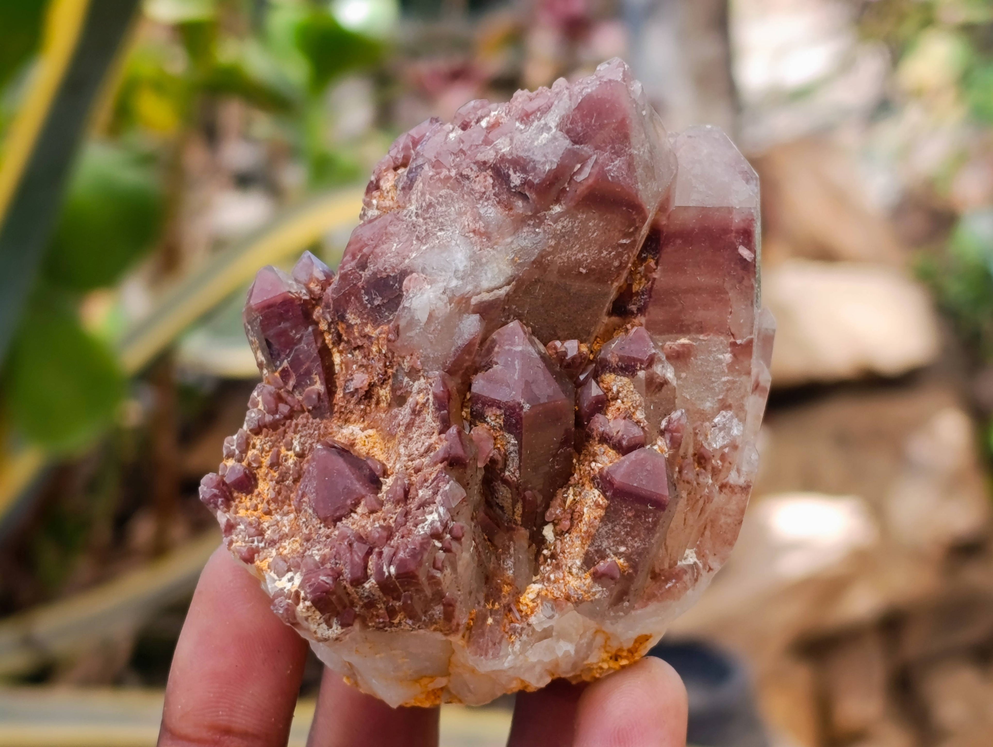 Natural Red Hematoid Quartz Clusters x 6 From Karoi, Zimbabwe - Toprock Gemstones and Minerals 
