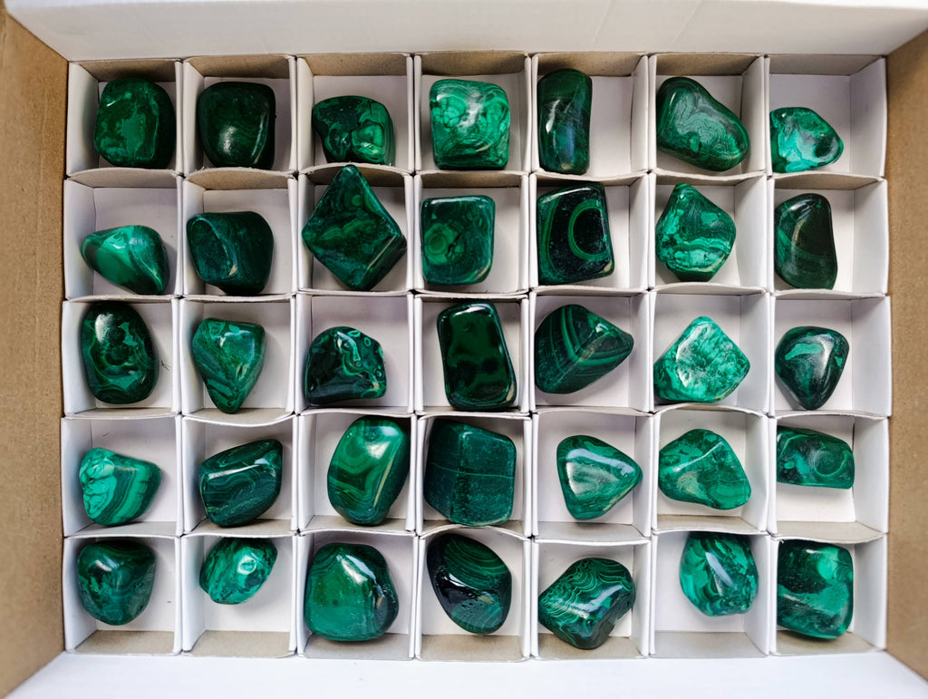 Polished Flower Banded Malachite Free Forms x 35 From Congo - Toprock Gemstones and Minerals 