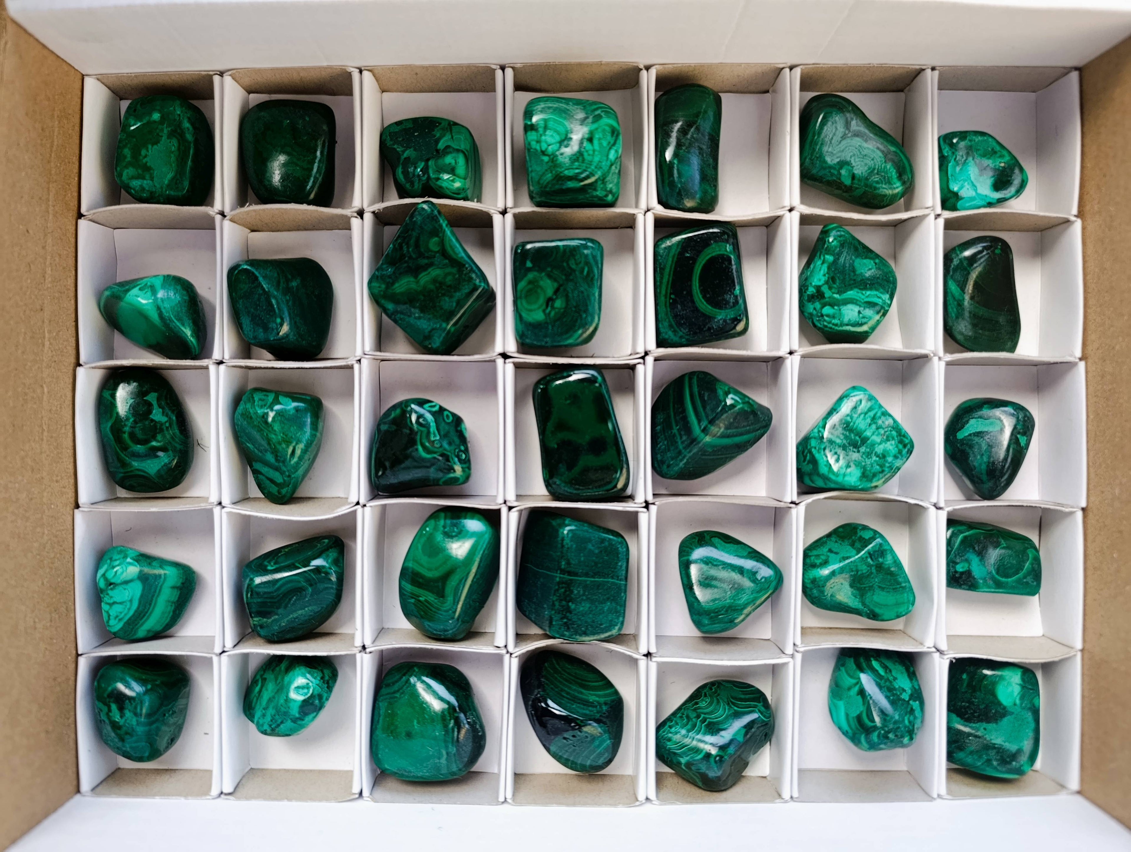 Polished Flower Banded Malachite Free Forms x 35 From Congo - Toprock Gemstones and Minerals 
