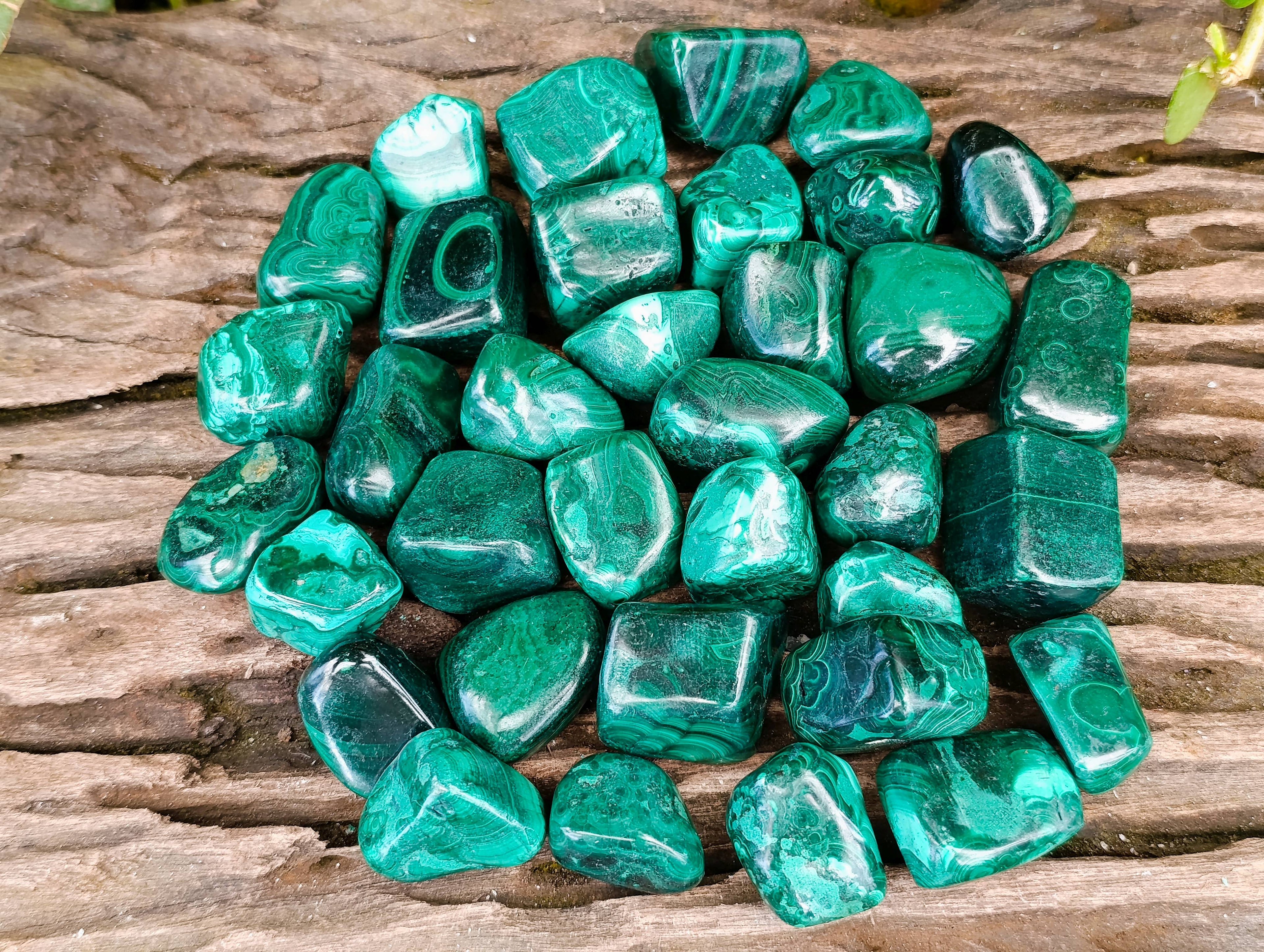 Polished Flower Banded Malachite Free Forms x 35 From Congo - Toprock Gemstones and Minerals 