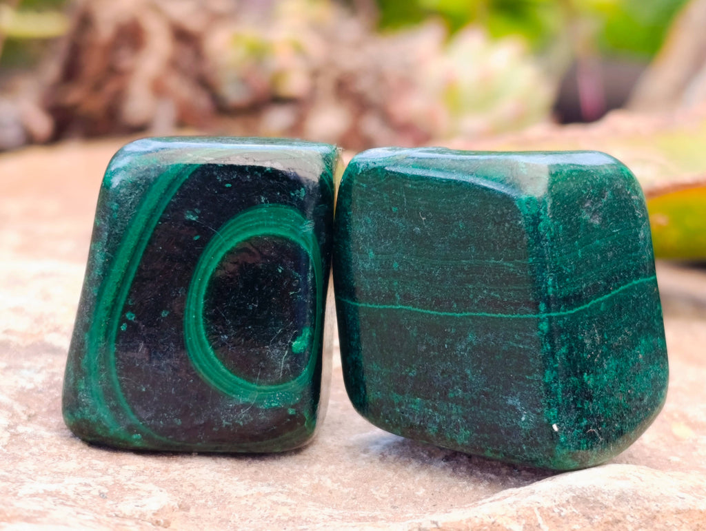 Polished Flower Banded Malachite Free Forms x 35 From Congo - Toprock Gemstones and Minerals 