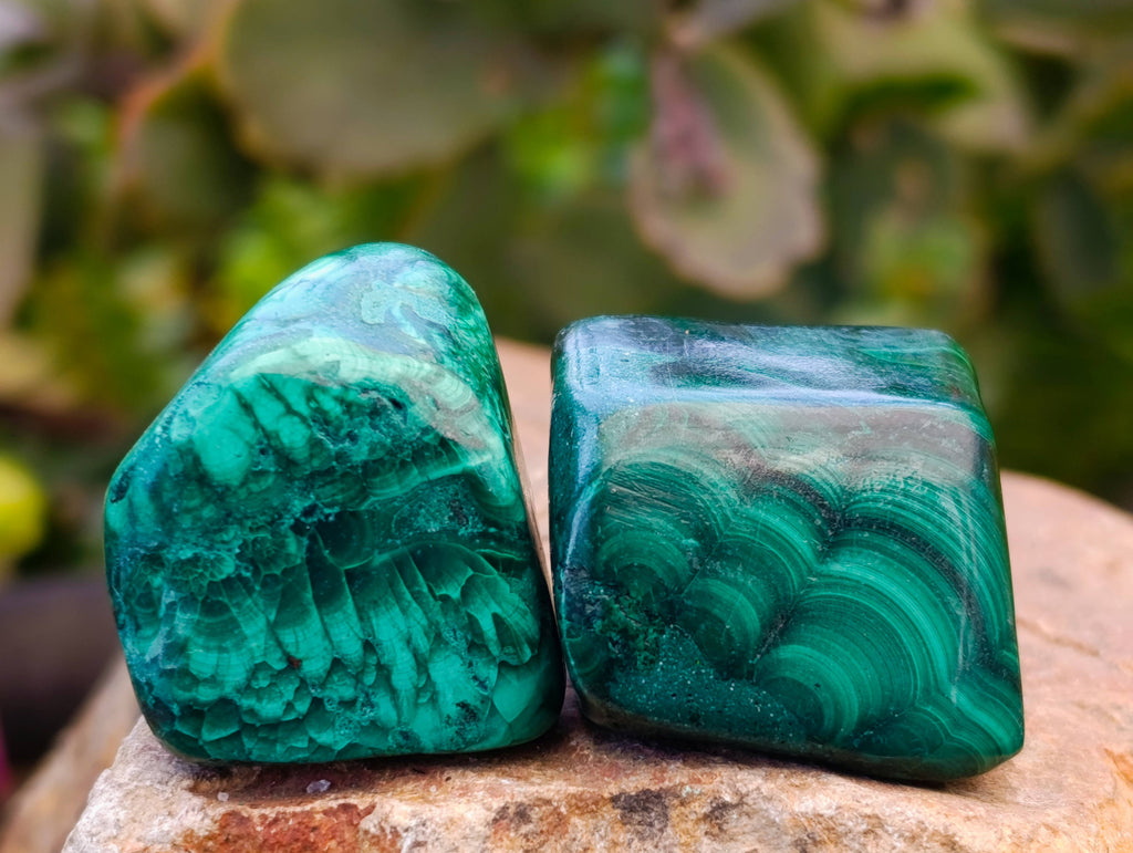 Polished Flower Banded Malachite Free Forms x 35 From Congo - Toprock Gemstones and Minerals 