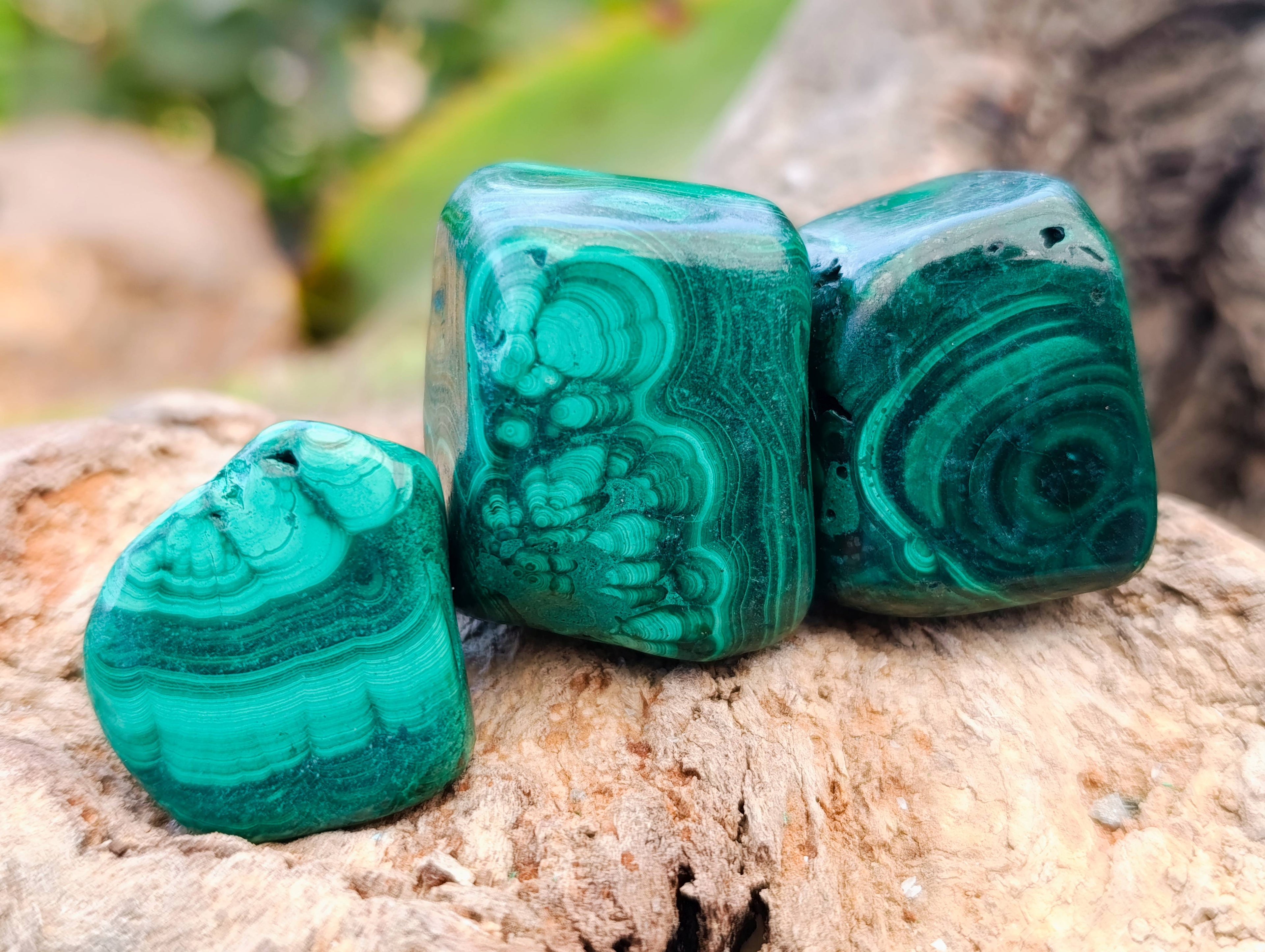 Polished Flower Banded Malachite Free Forms x 35 From Congo - Toprock Gemstones and Minerals 