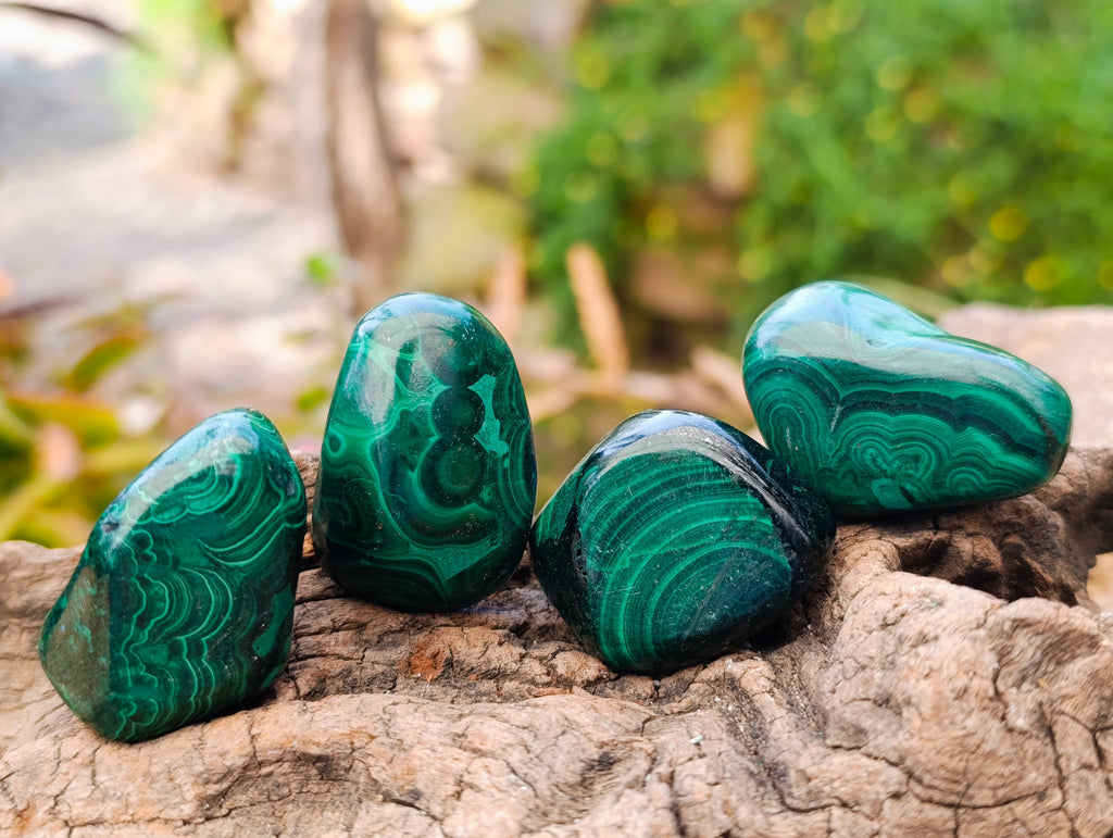 Polished Flower Banded Malachite Free Forms x 35 From Congo - Toprock Gemstones and Minerals 