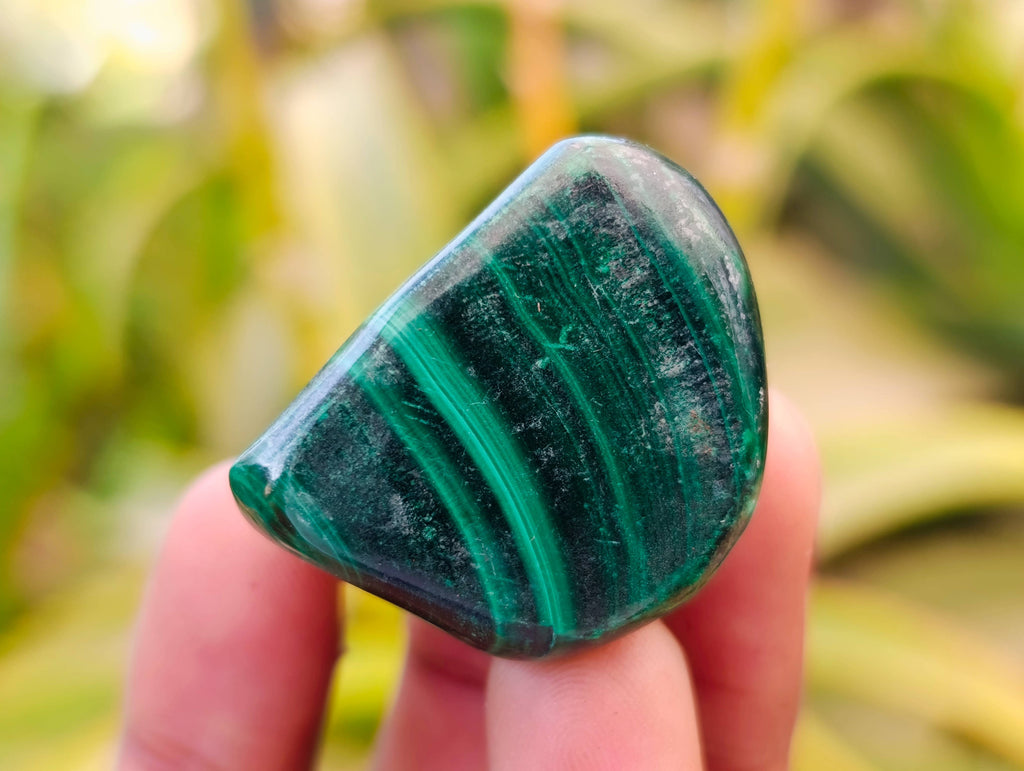 Polished Flower Banded Malachite Free Forms x 35 From Congo - Toprock Gemstones and Minerals 