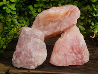 Natural Cobbed Rose Quartz Specimens x 3 From Northern Cape, South Africa - Toprock Gemstones and Minerals 