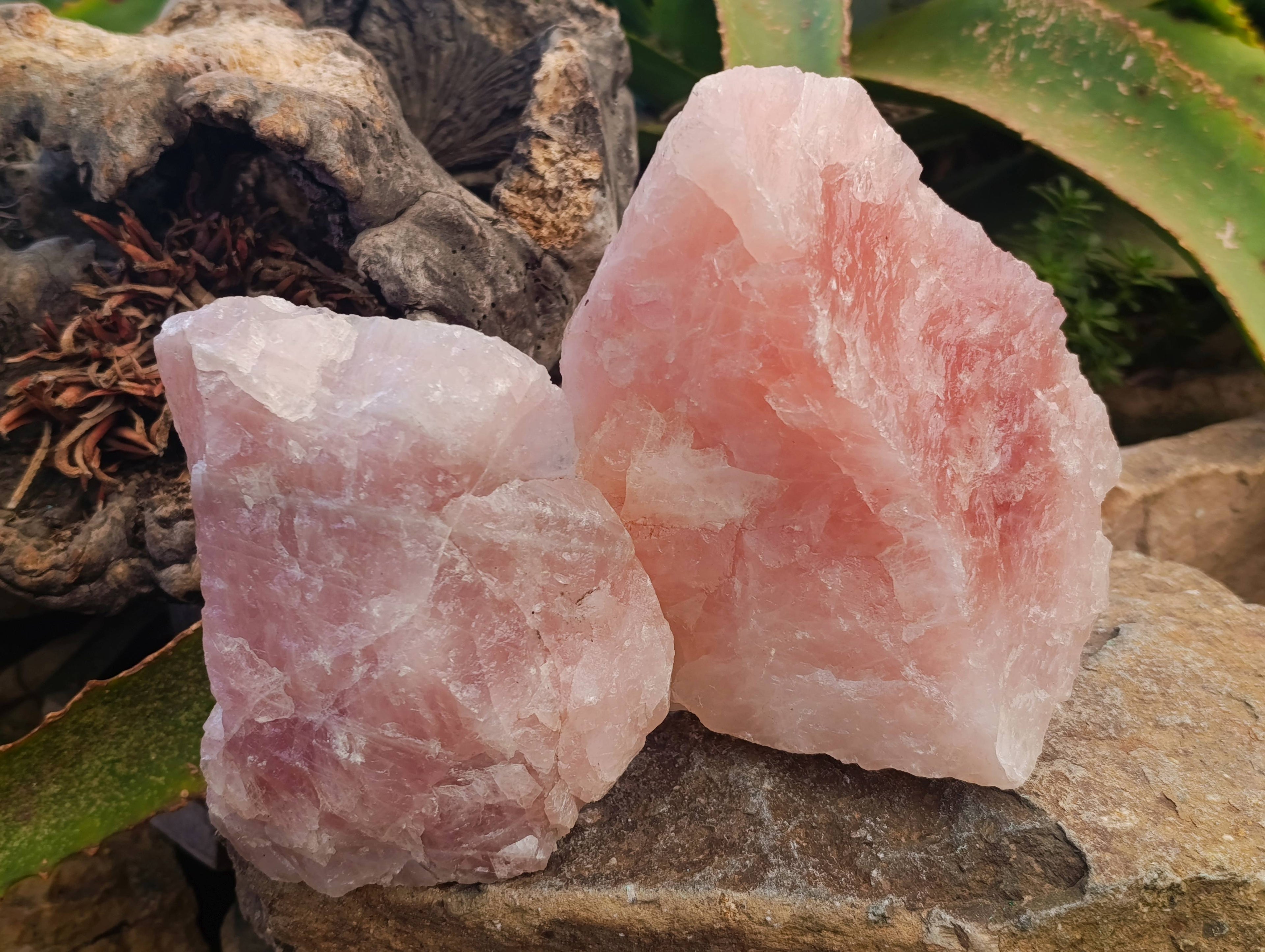 Natural Cobbed Rose Quartz Specimens x 3 From Northern Cape, South Africa - Toprock Gemstones and Minerals 