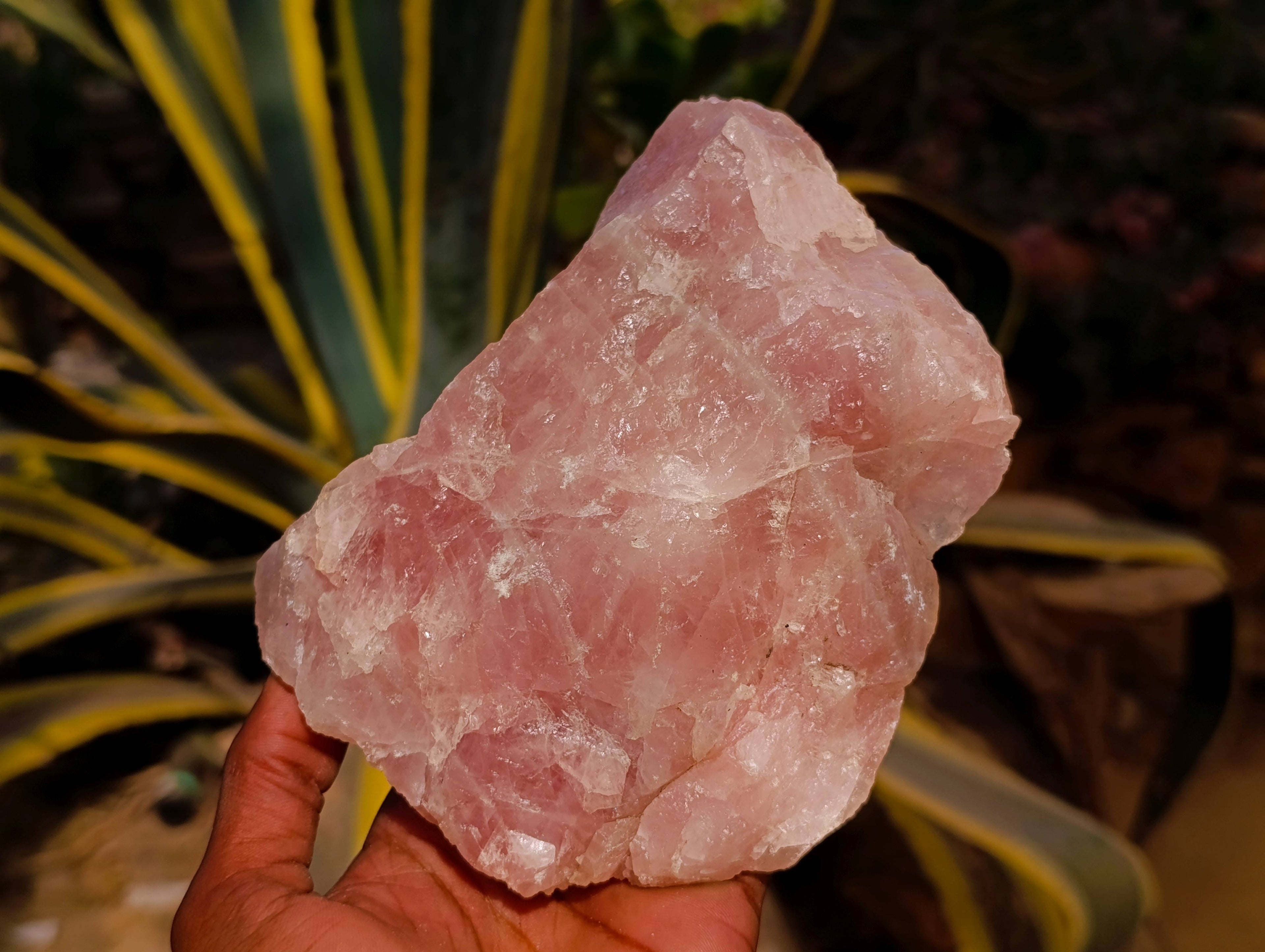 Natural Cobbed Rose Quartz Specimens x 3 From Northern Cape, South Africa - Toprock Gemstones and Minerals 