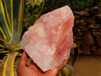 Natural Cobbed Rose Quartz Specimens x 3 From Northern Cape, South Africa - Toprock Gemstones and Minerals 