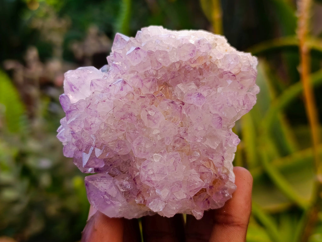 Natural Amethyst Spirit Quartz Clusters x 6 From Boekenhouthoek, South Africa - Toprock Gemstones and Minerals 