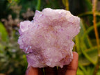 Natural Amethyst Spirit Quartz Clusters x 6 From Boekenhouthoek, South Africa - Toprock Gemstones and Minerals 
