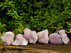 Natural Amethyst Spirit Quartz Clusters x 6 From Boekenhouthoek, South Africa - Toprock Gemstones and Minerals 