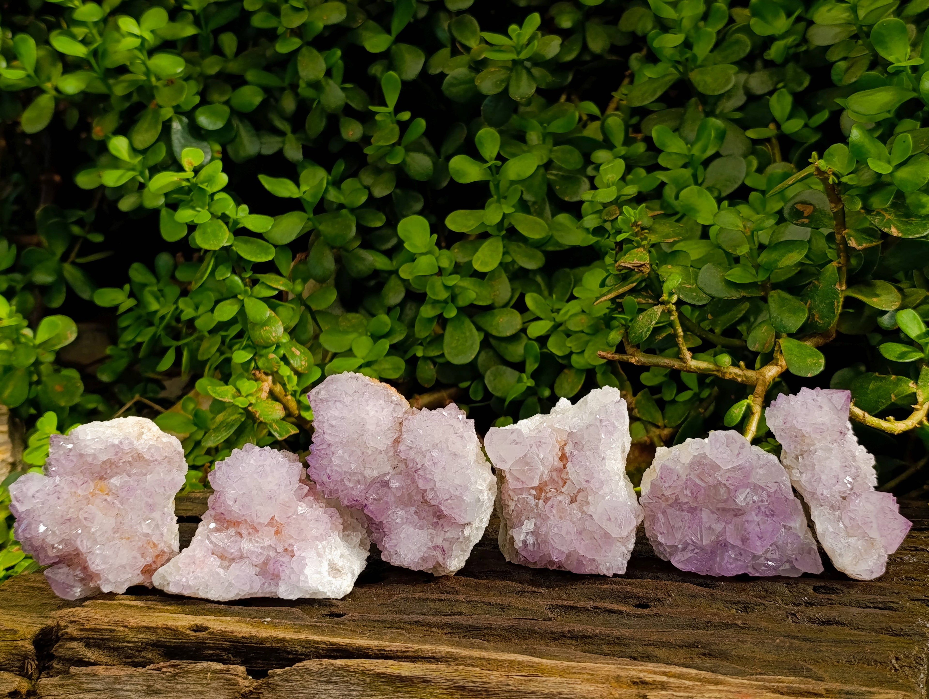 Natural Amethyst Spirit Quartz Clusters x 6 From Boekenhouthoek, South Africa - Toprock Gemstones and Minerals 
