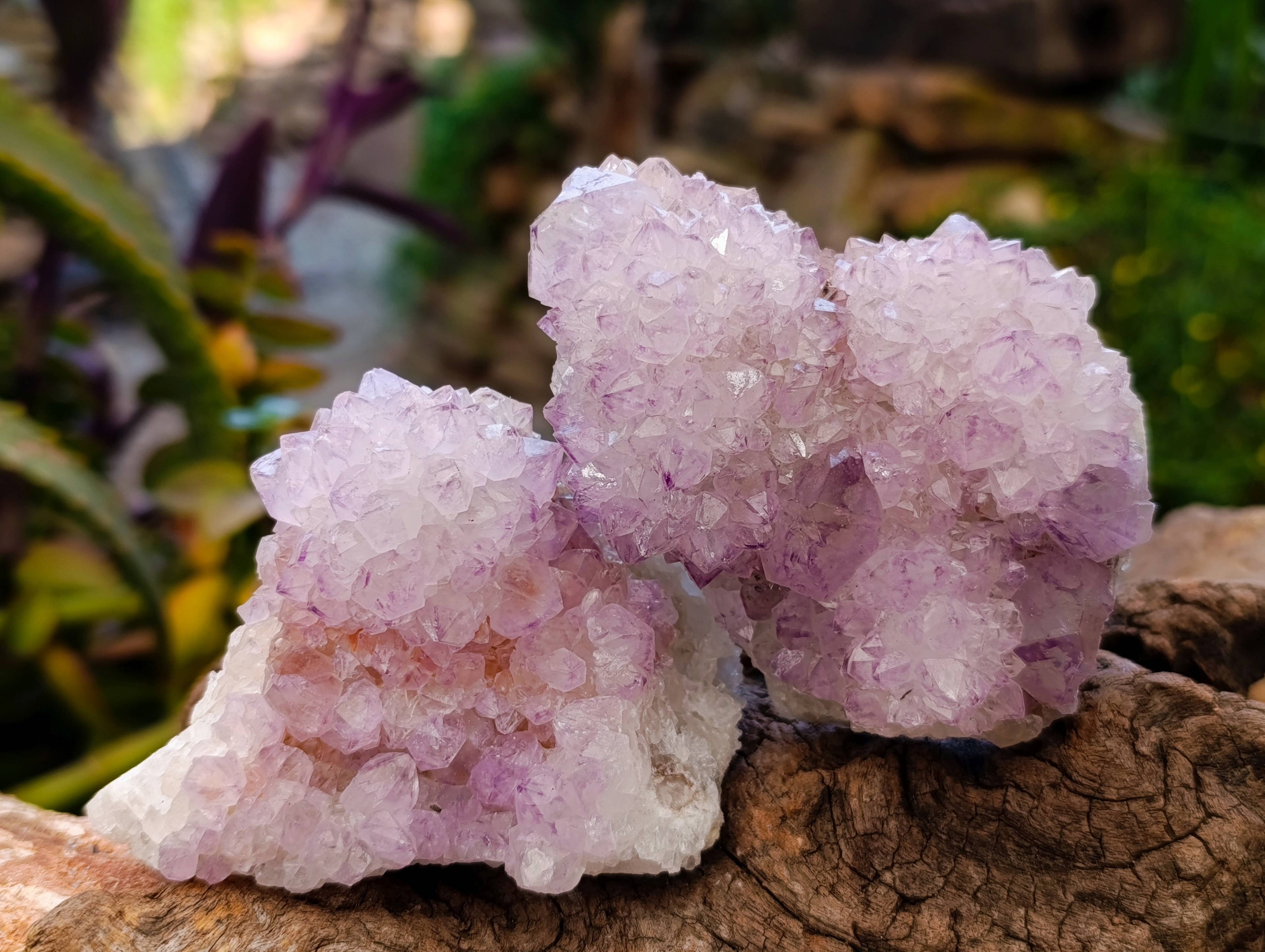 Natural Amethyst Spirit Quartz Clusters x 6 From Boekenhouthoek, South Africa - Toprock Gemstones and Minerals 