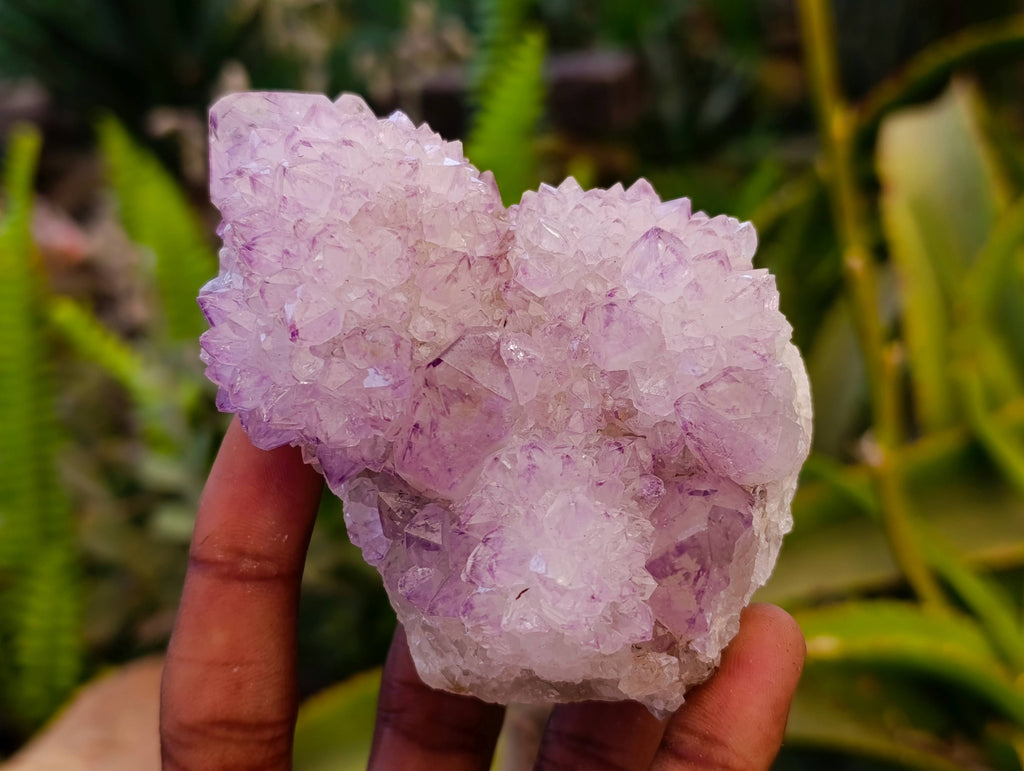 Natural Amethyst Spirit Quartz Clusters x 6 From Boekenhouthoek, South Africa - Toprock Gemstones and Minerals 