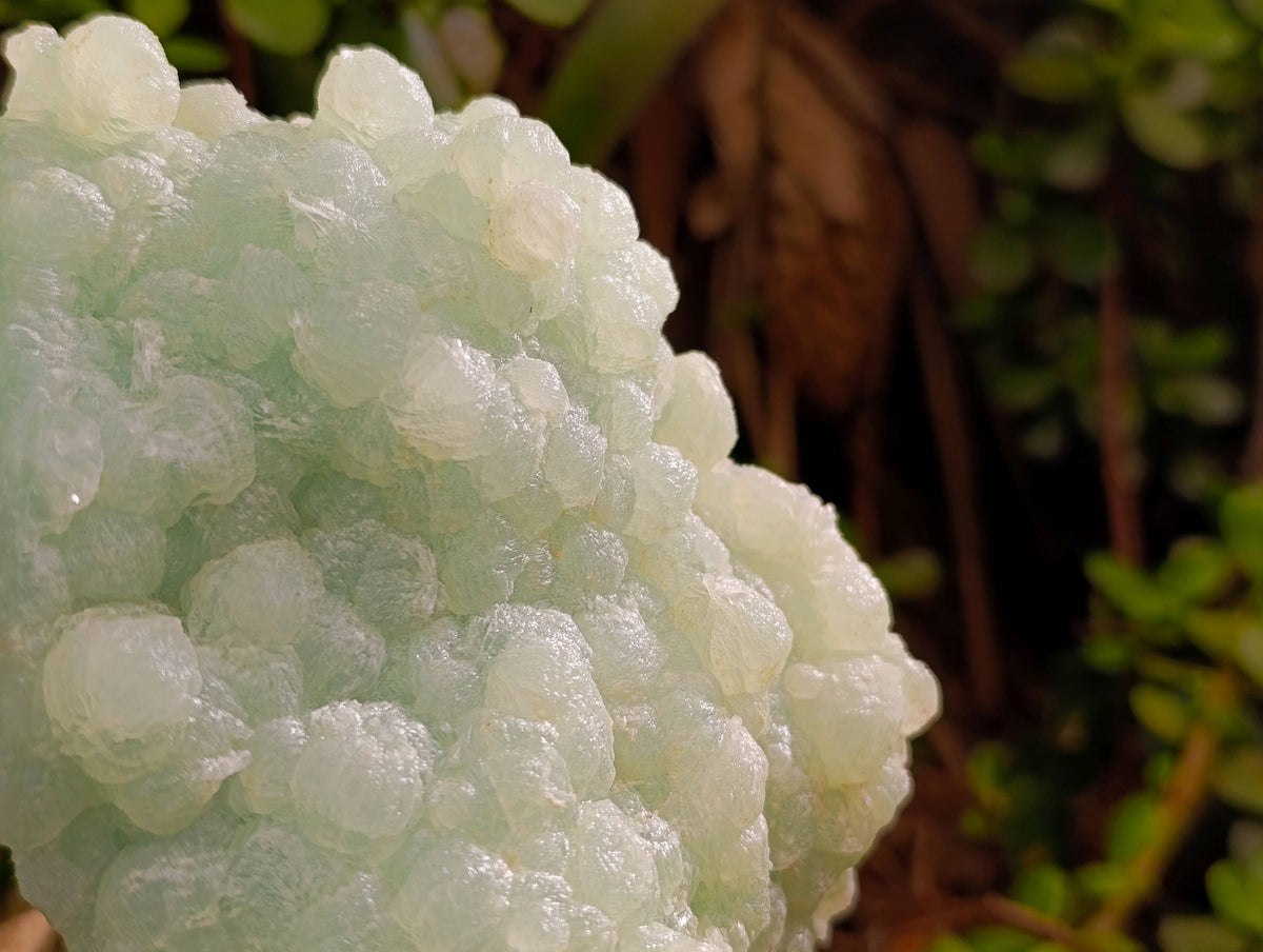 Natural Botryoidal Prehnite Specimens x 2 From Beaufort West, South Africa - Toprock Gemstones and Minerals 
