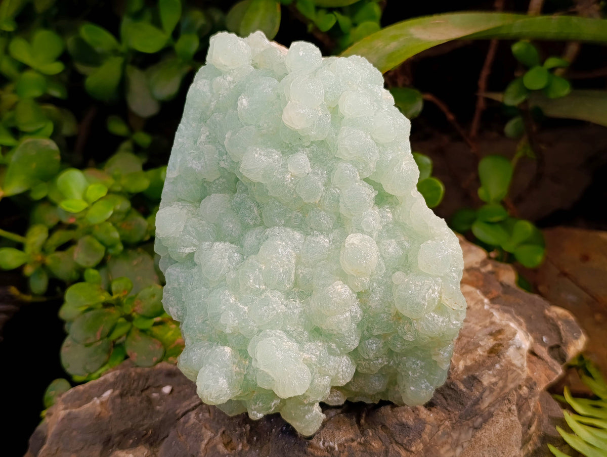 Natural Botryoidal Prehnite Specimens x 2 From Beaufort West, South Africa - Toprock Gemstones and Minerals 
