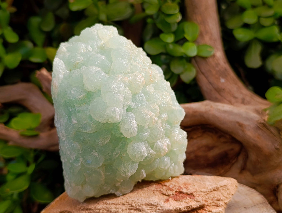 Natural Botryoidal Prehnite Specimens x 2 From Beaufort West, South Africa - Toprock Gemstones and Minerals 