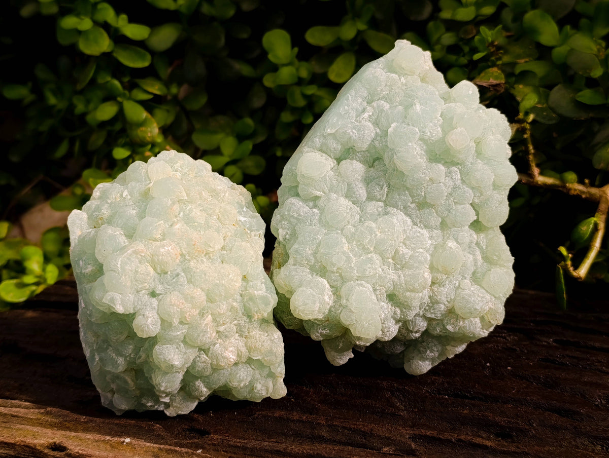 Natural Botryoidal Prehnite Specimens x 2 From Beaufort West, South Africa - Toprock Gemstones and Minerals 