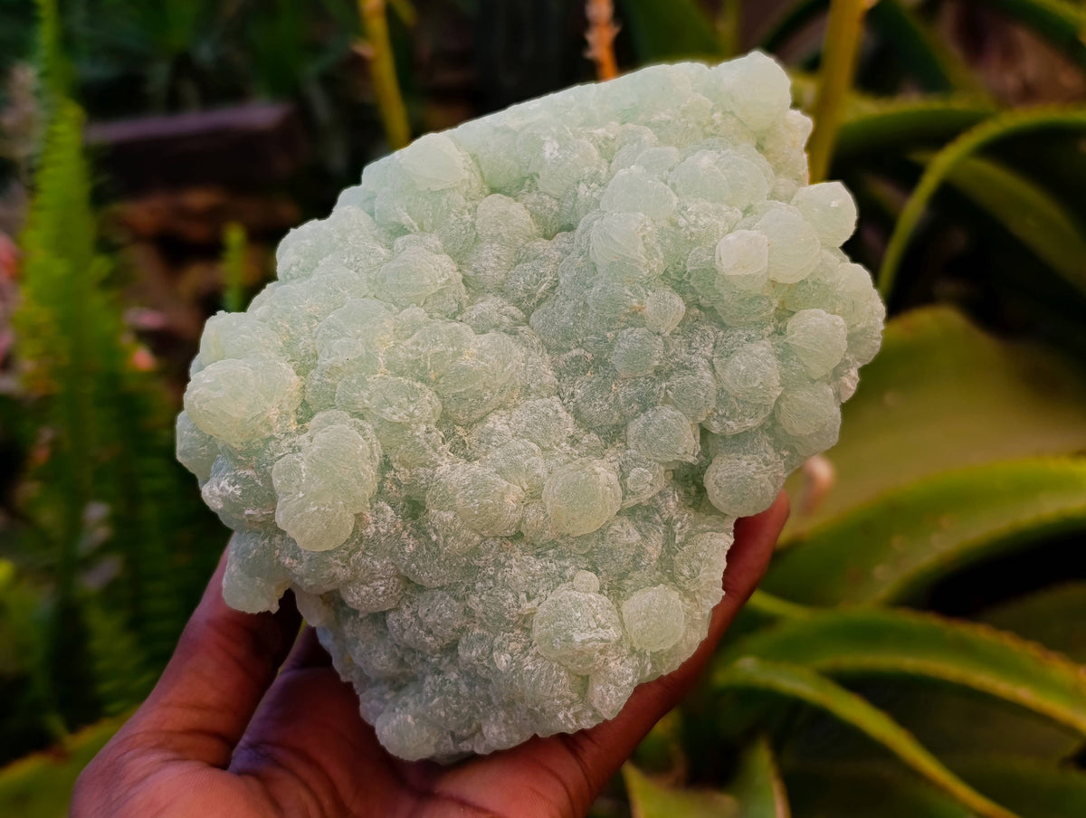 Natural Botryoidal Prehnite Specimens x 2 From Beaufort West, South Africa - Toprock Gemstones and Minerals 