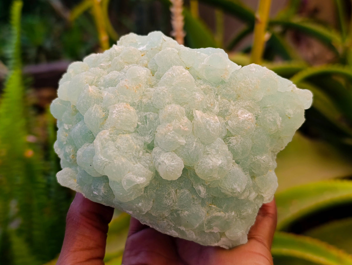 Natural Botryoidal Prehnite Specimens x 2 From Beaufort West, South Africa - Toprock Gemstones and Minerals 