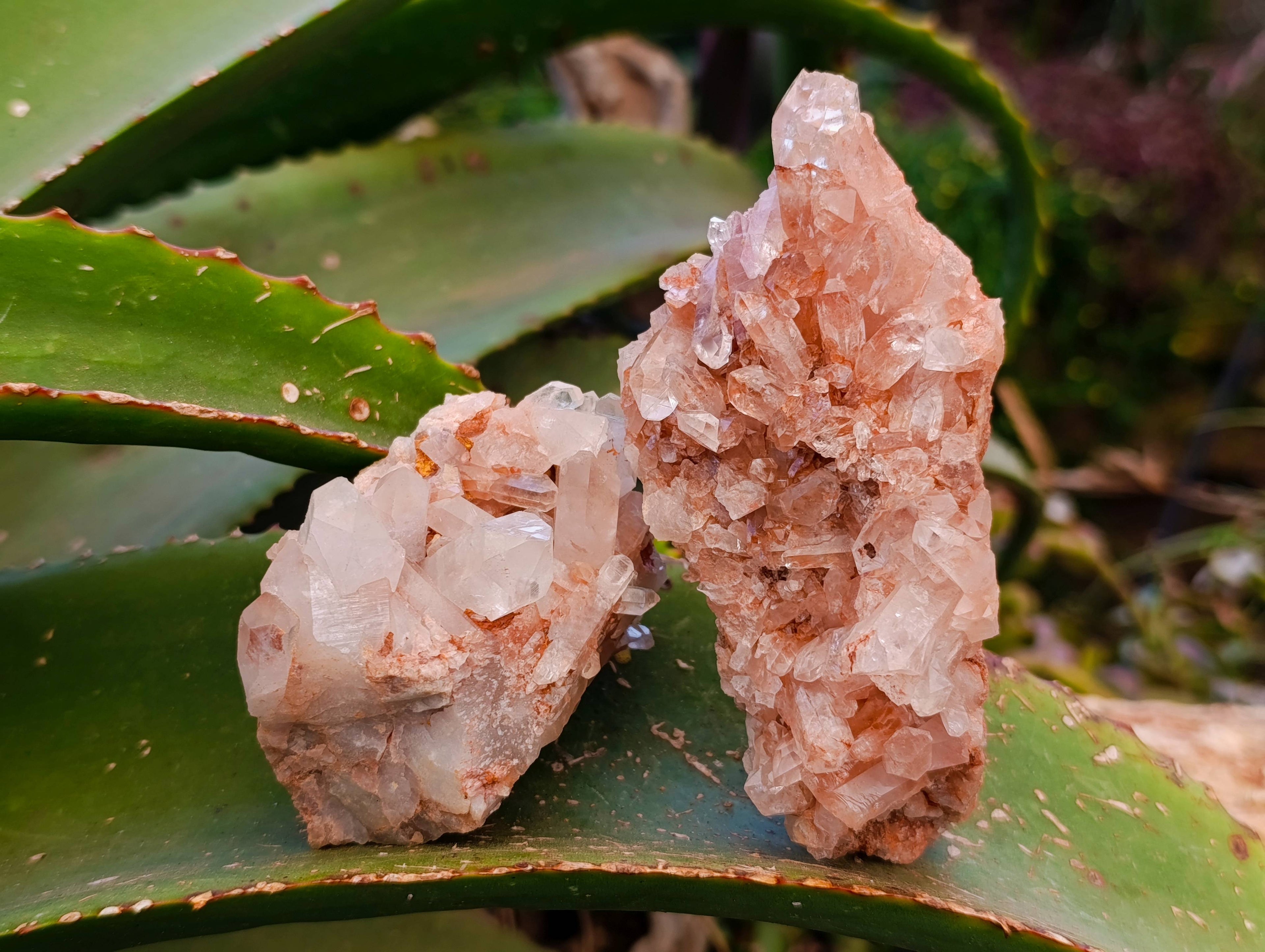 Natural Quartz Clusters x 6 From Mpika, Zambia - Toprock Gemstones and Minerals 