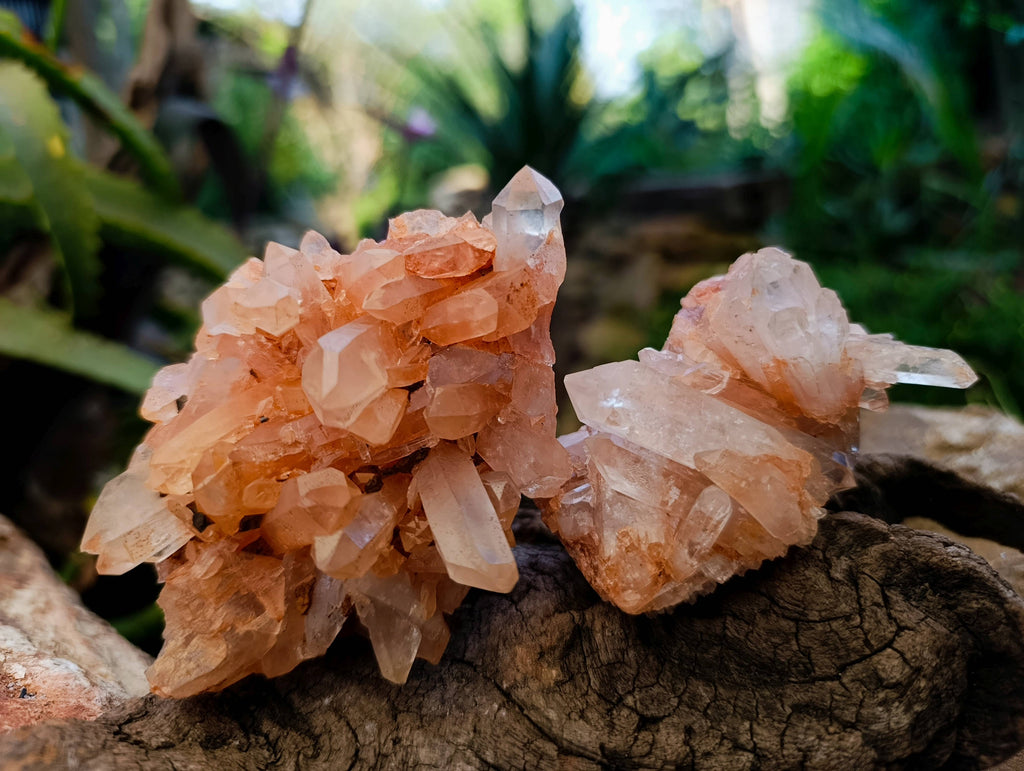 Natural Quartz Clusters x 6 From Mpika, Zambia - Toprock Gemstones and Minerals 