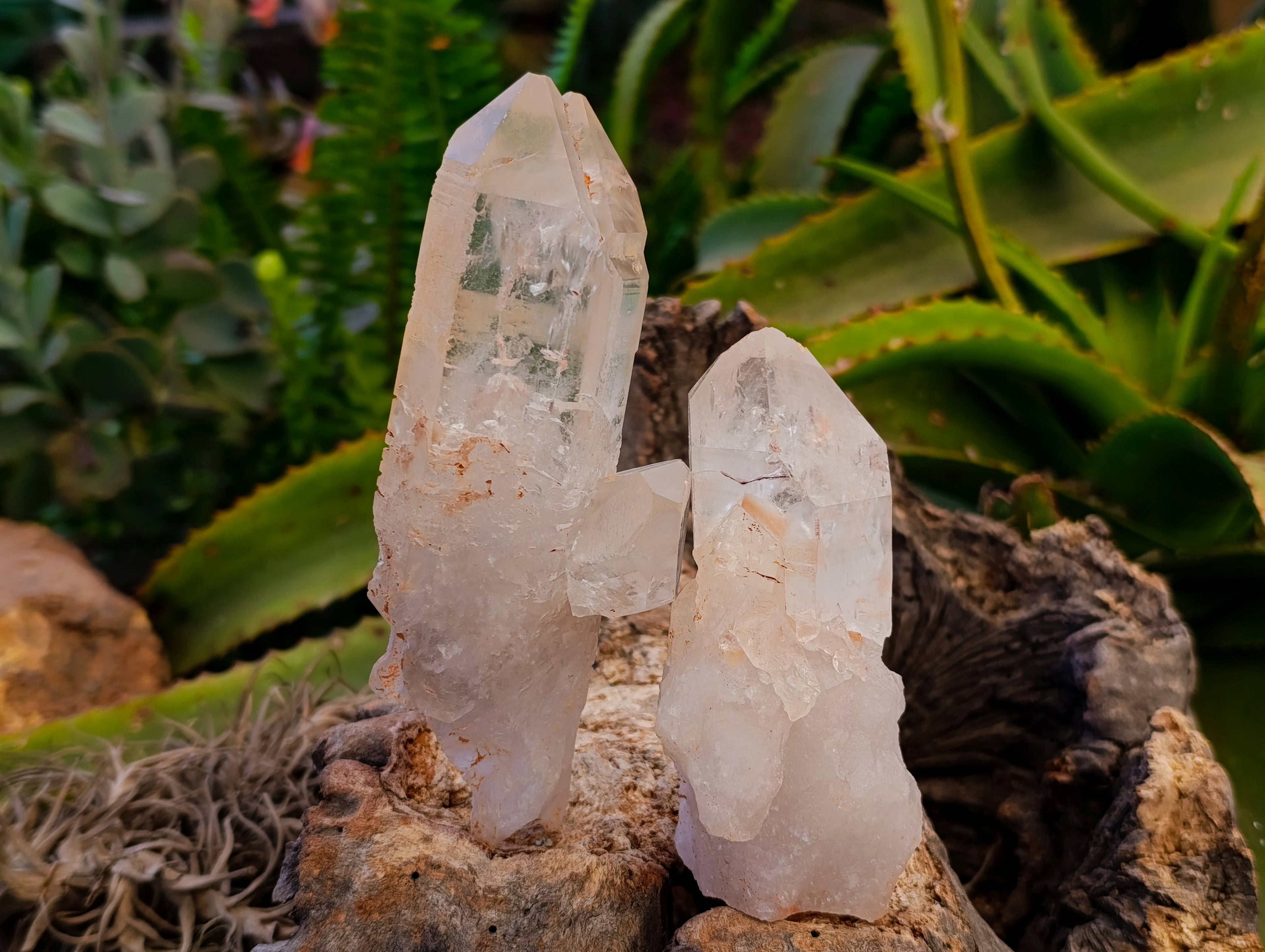 Natural Quartz Clusters x 6 From Mpika, Zambia - Toprock Gemstones and Minerals 