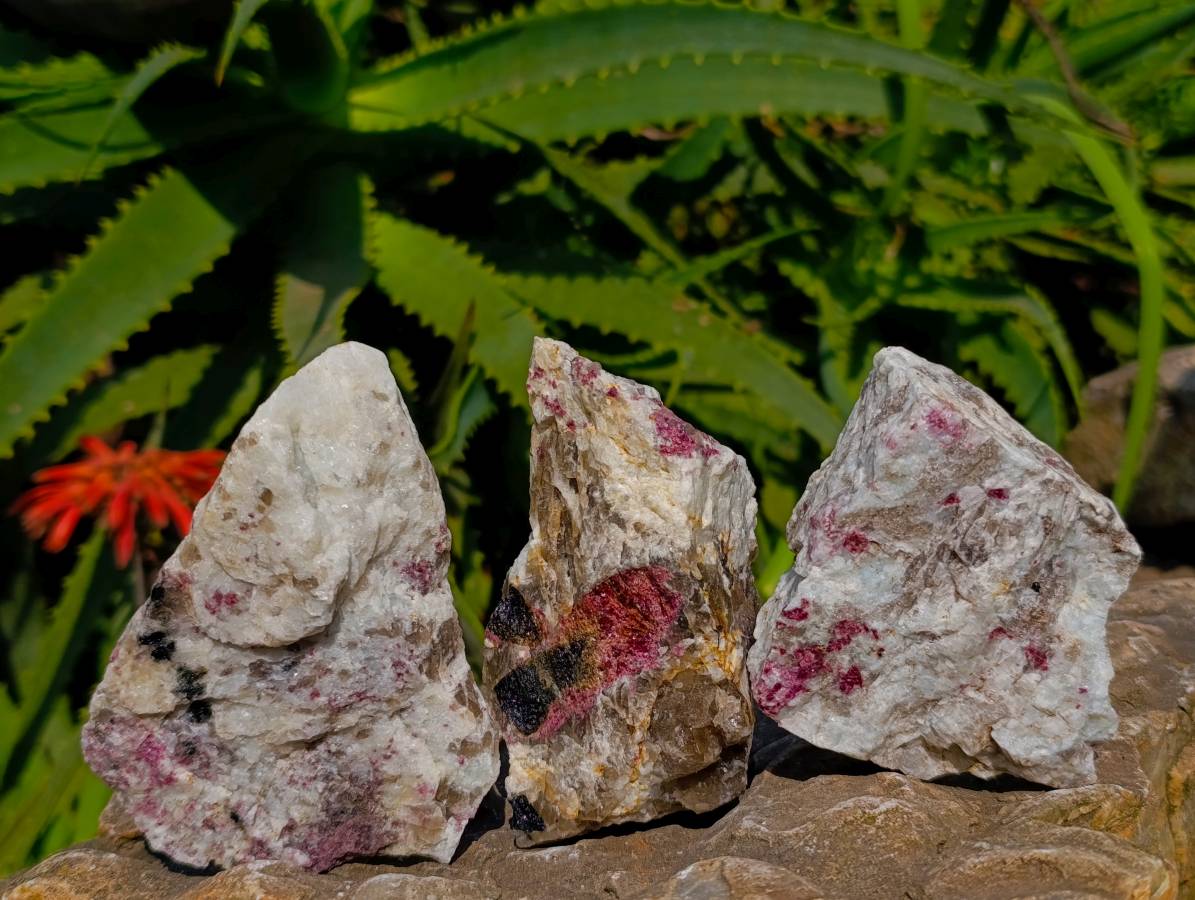 Natural Rubellite Pink Tourmaline Specimens x 12 From Madagascar - Toprock Gemstones and Minerals 