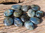 Polished Labradorite Galets x 12 From Tulear, Madagascar - Toprock Gemstones and Minerals 