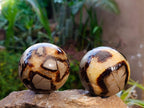 Polished Septaria Spheres x 6 From Madagascar - Toprock Gemstones and Minerals 