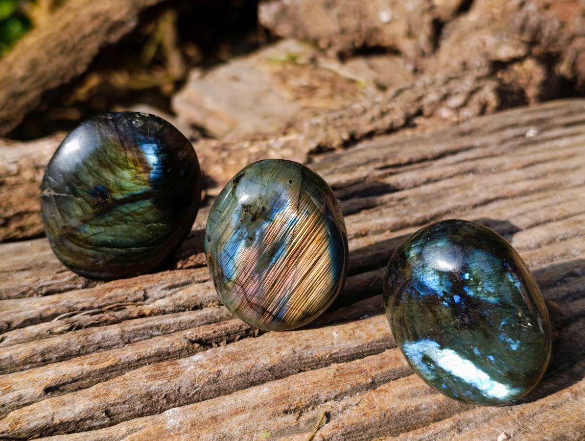 Polished Labradorite Galets x 12 From Tulear, Madagascar - Toprock Gemstones and Minerals 