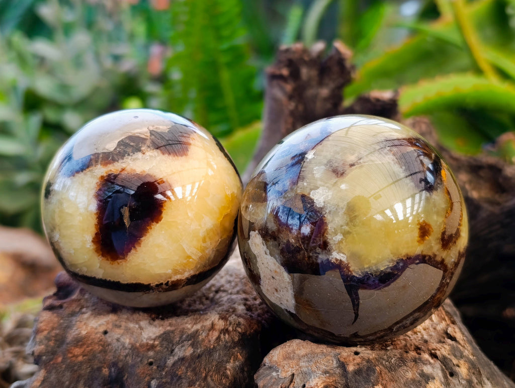 Polished Septaria Spheres x 6 From Madagascar - Toprock Gemstones and Minerals 