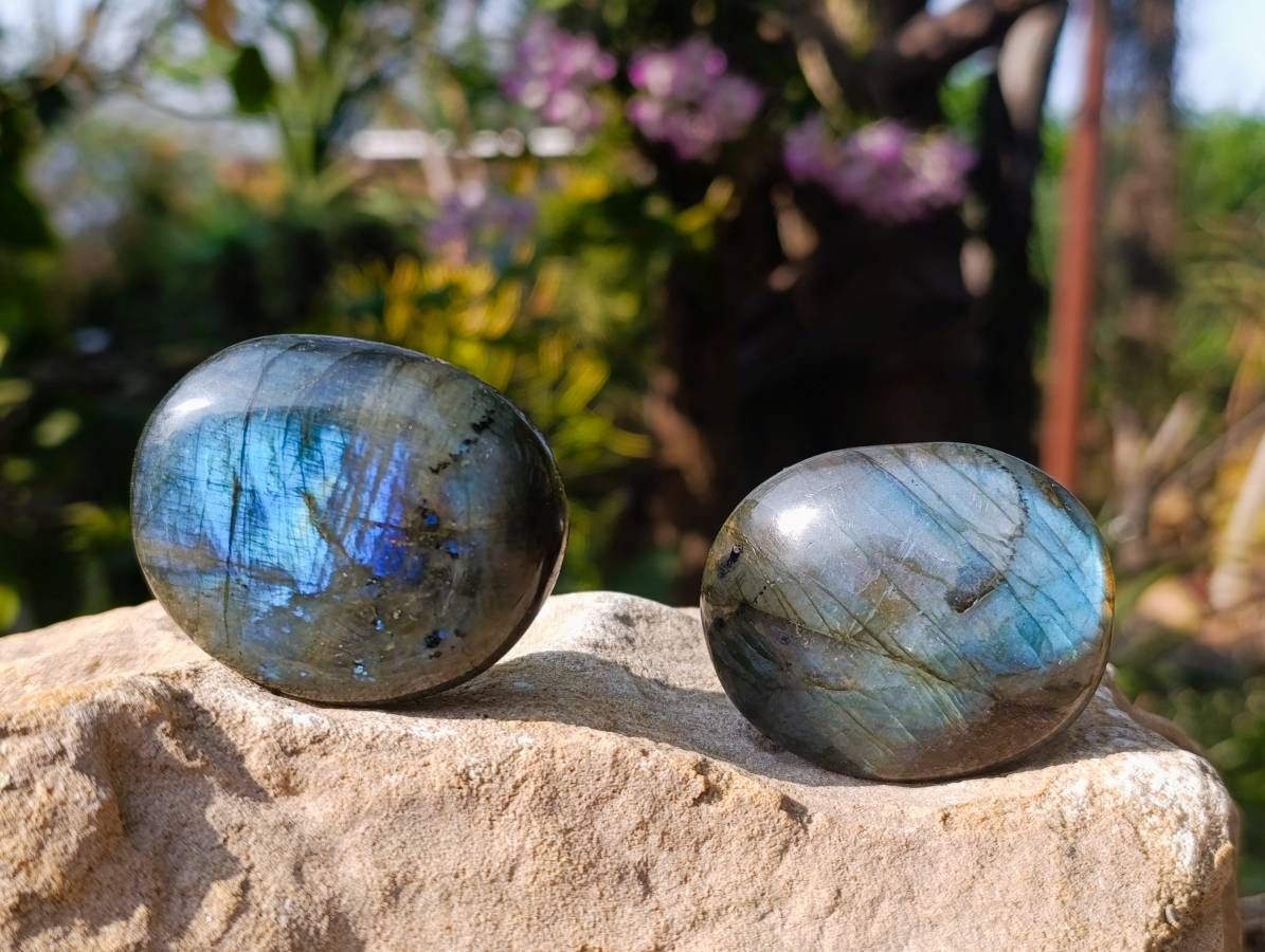 Polished Labradorite Galets x 12 From Tulear, Madagascar - Toprock Gemstones and Minerals 